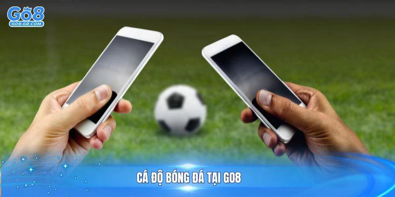 Cá Độ Bóng Đá Tại GO8